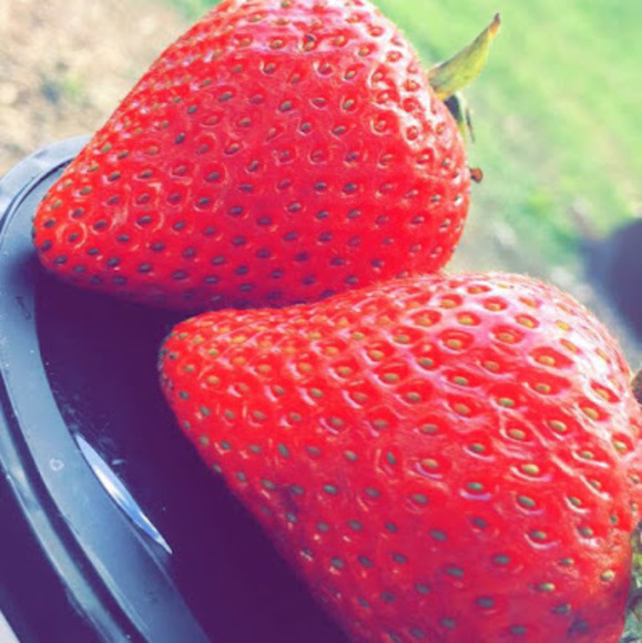 Meet your Posher, Doug - Picture 1 of 1